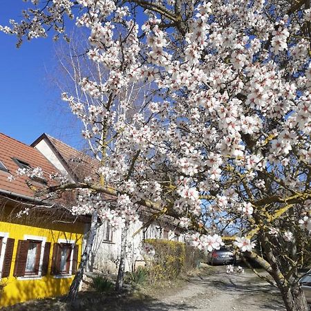 Eva Vendeghaz Villa Tata Buitenkant foto