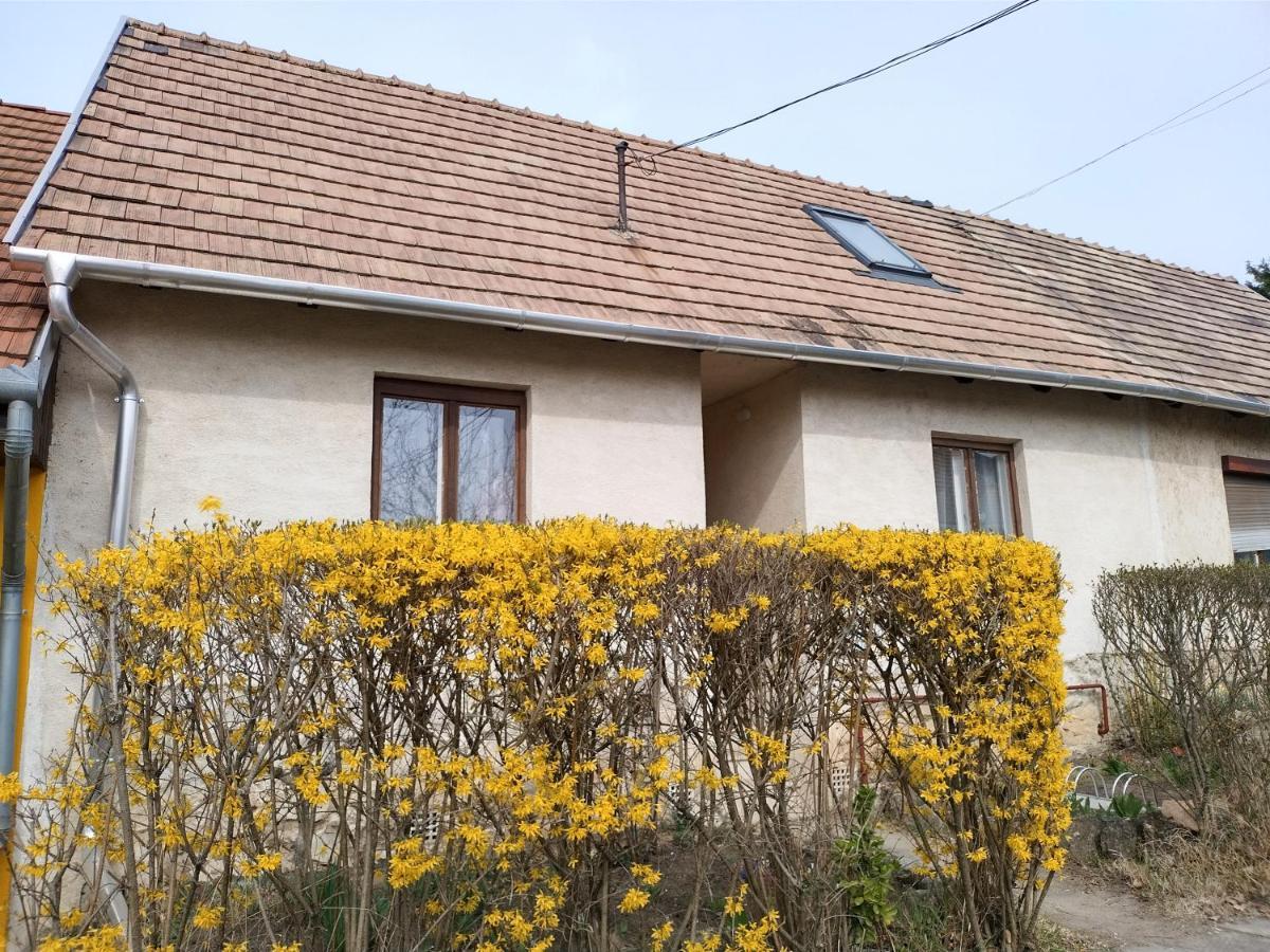 Eva Vendeghaz Villa Tata Buitenkant foto