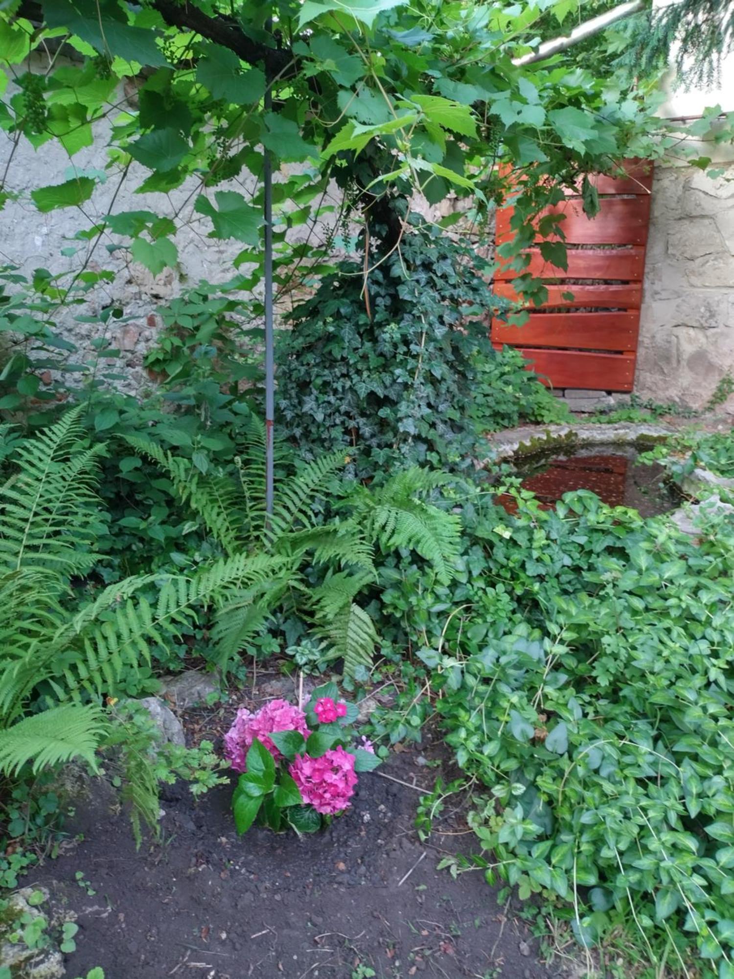Eva Vendeghaz Villa Tata Buitenkant foto