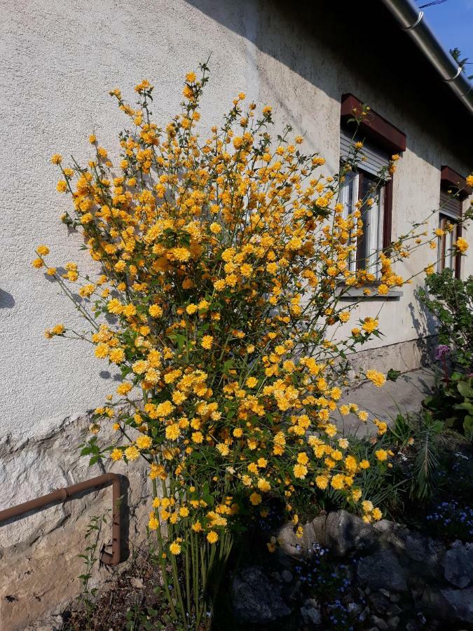 Eva Vendeghaz Villa Tata Buitenkant foto